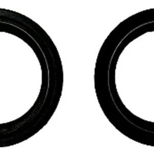 RETENTOR BENGALA - FAZER 250 05/11 (PAR)