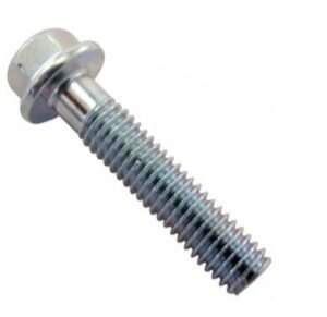 PARAFUSO PARAL DIANT TITAN 00-08/ STRAD (M6X18)(CH.10) MAXX