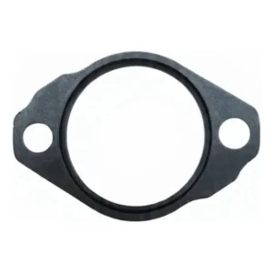 EXTENSOR ENGRENAGEM BUCK.NMAX (P/PA) VEDA 55330